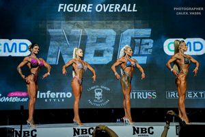 FIGURE OVERALL